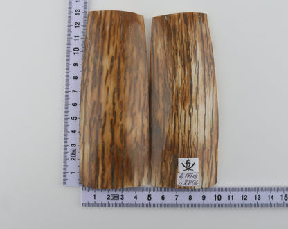 Natural mammoth bark scales