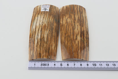 Natural mammoth bark scales