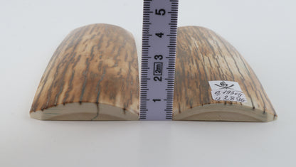 Natural mammoth bark scales