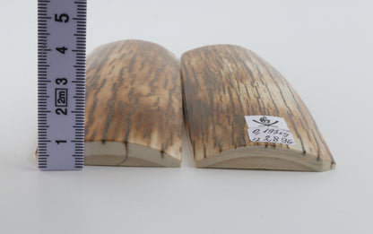 Natural mammoth bark scales