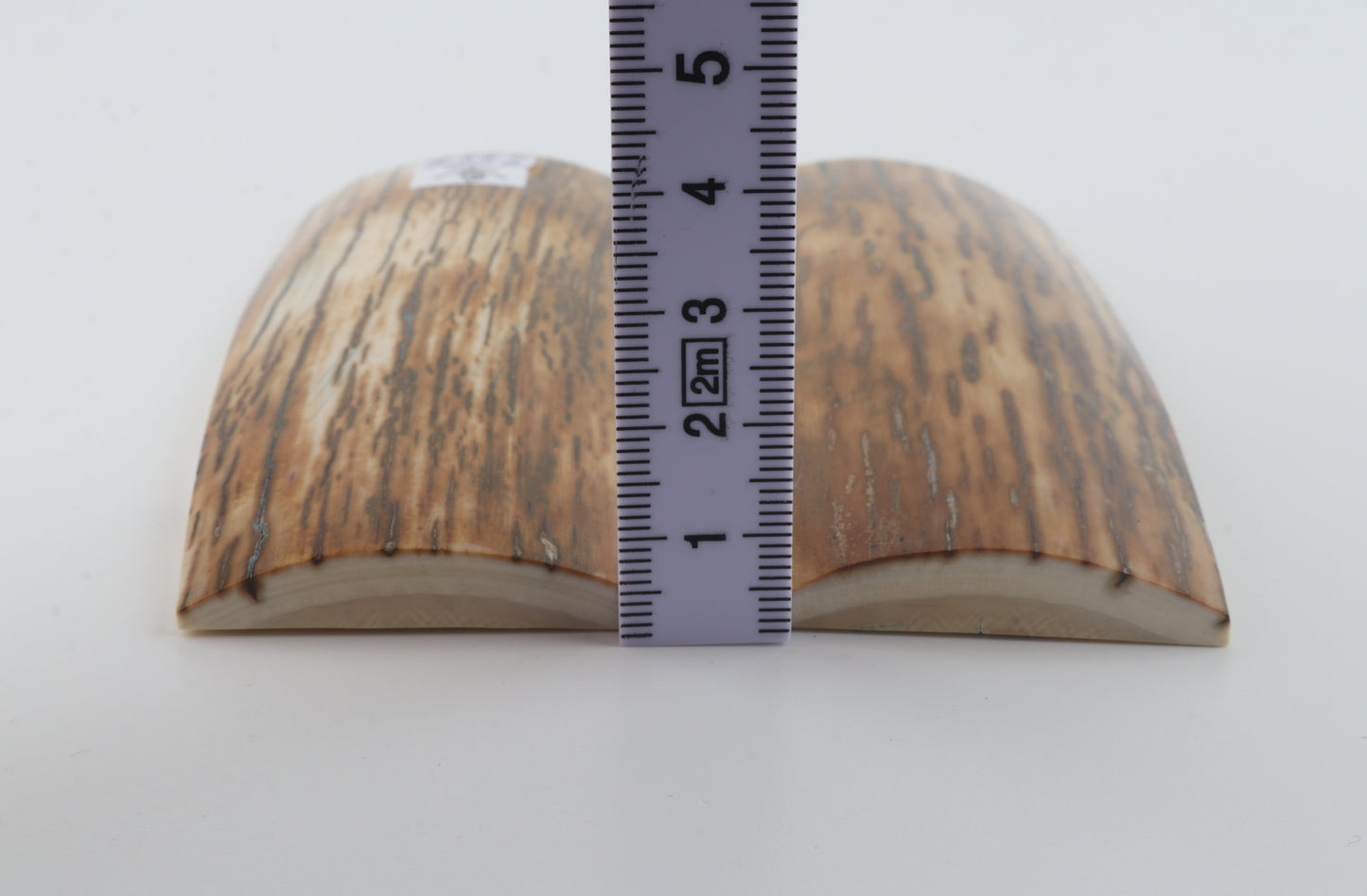 Natural mammoth bark scales