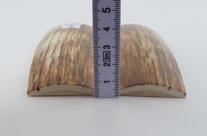 Natural mammoth bark scales