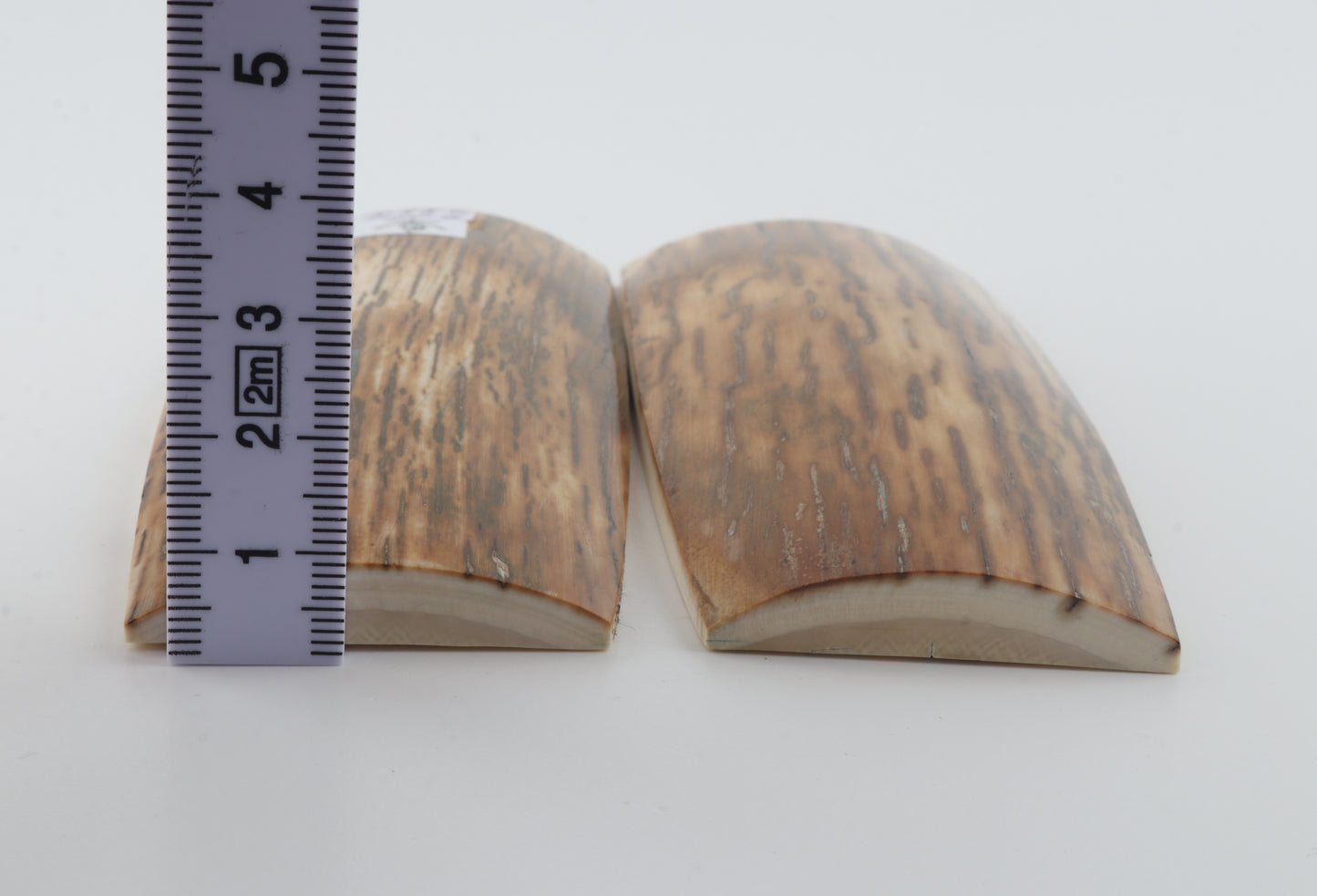 Natural mammoth bark scales