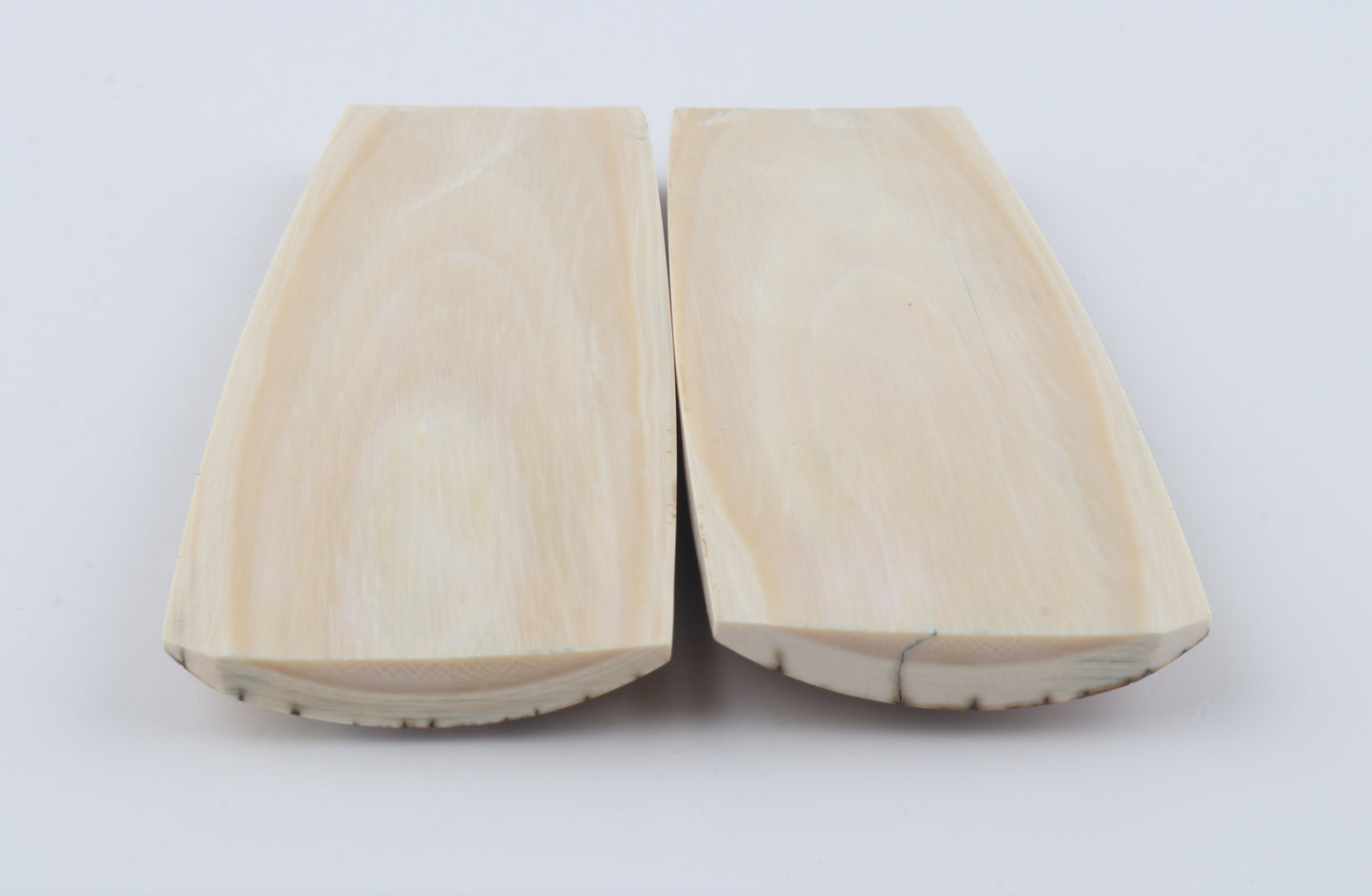 Natural mammoth bark scales