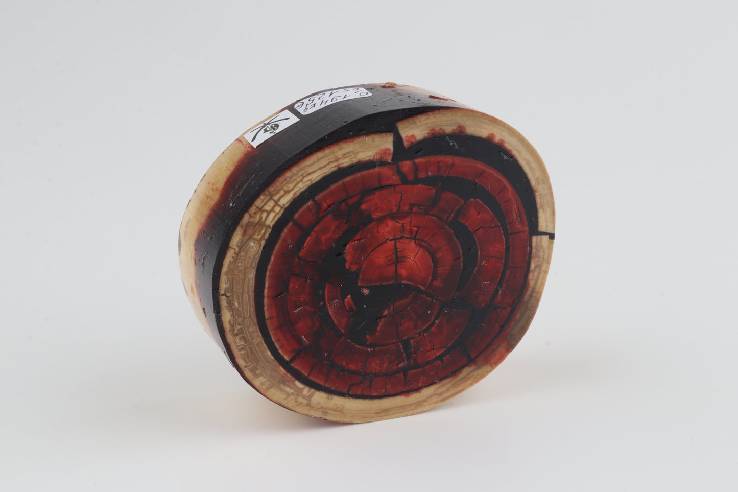 Stabilized mammoth ivory block