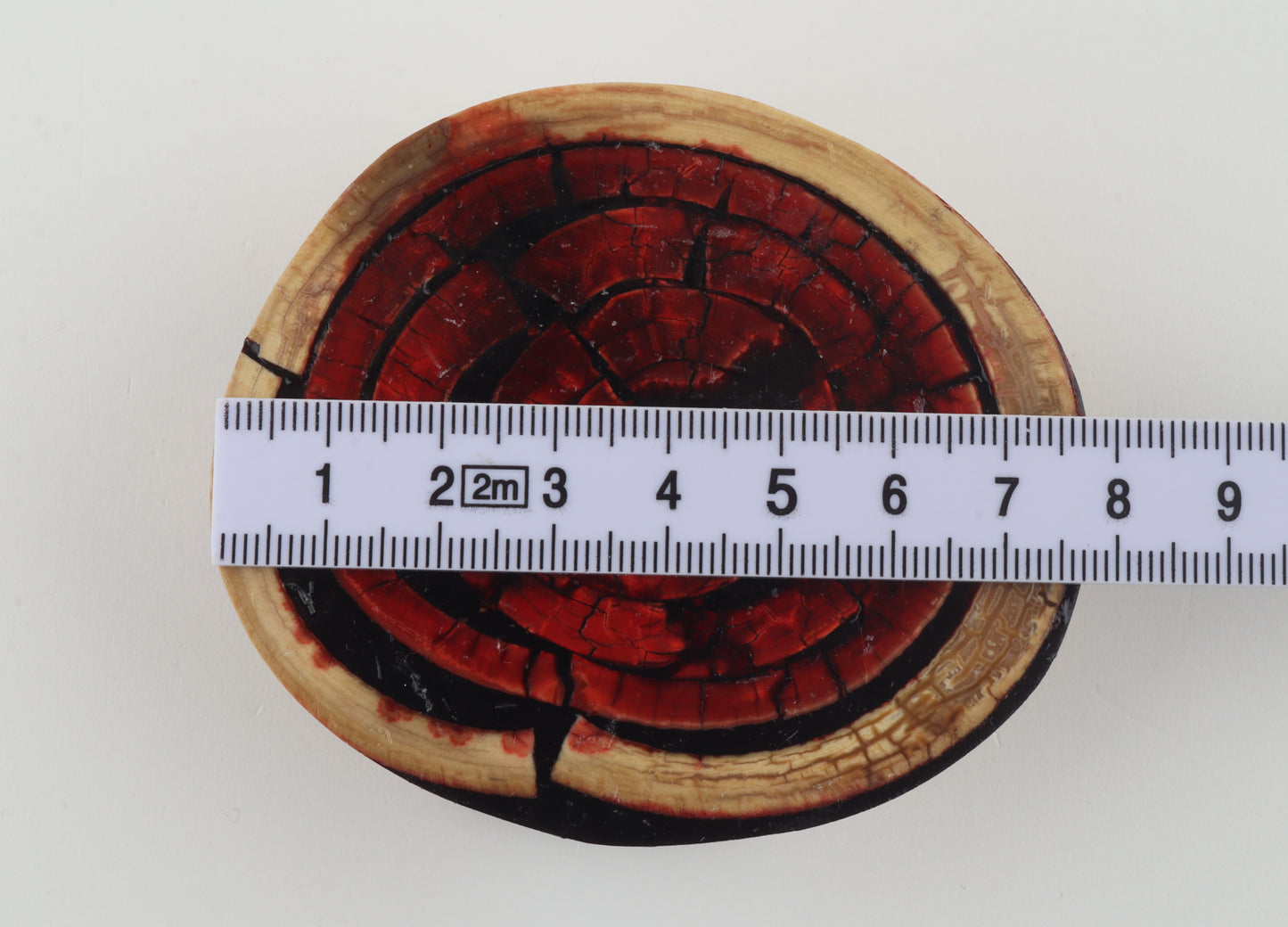 Stabilized mammoth ivory block