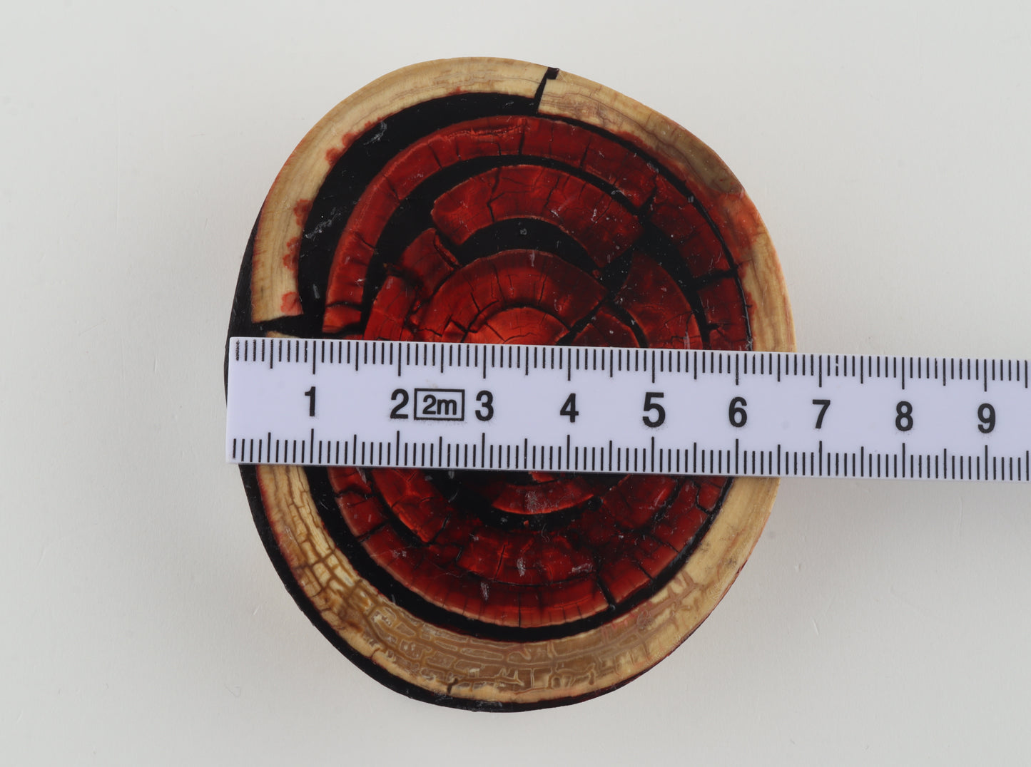 Stabilized mammoth ivory block