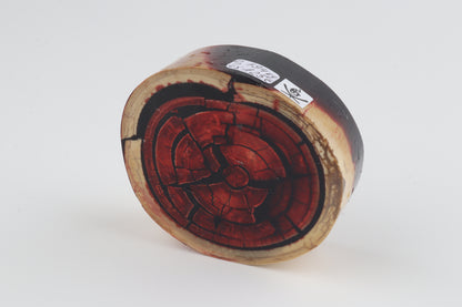 Stabilized mammoth ivory block
