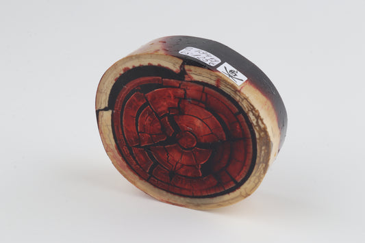 Stabilized mammoth ivory block