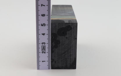 Stabilized mammoth ivory block