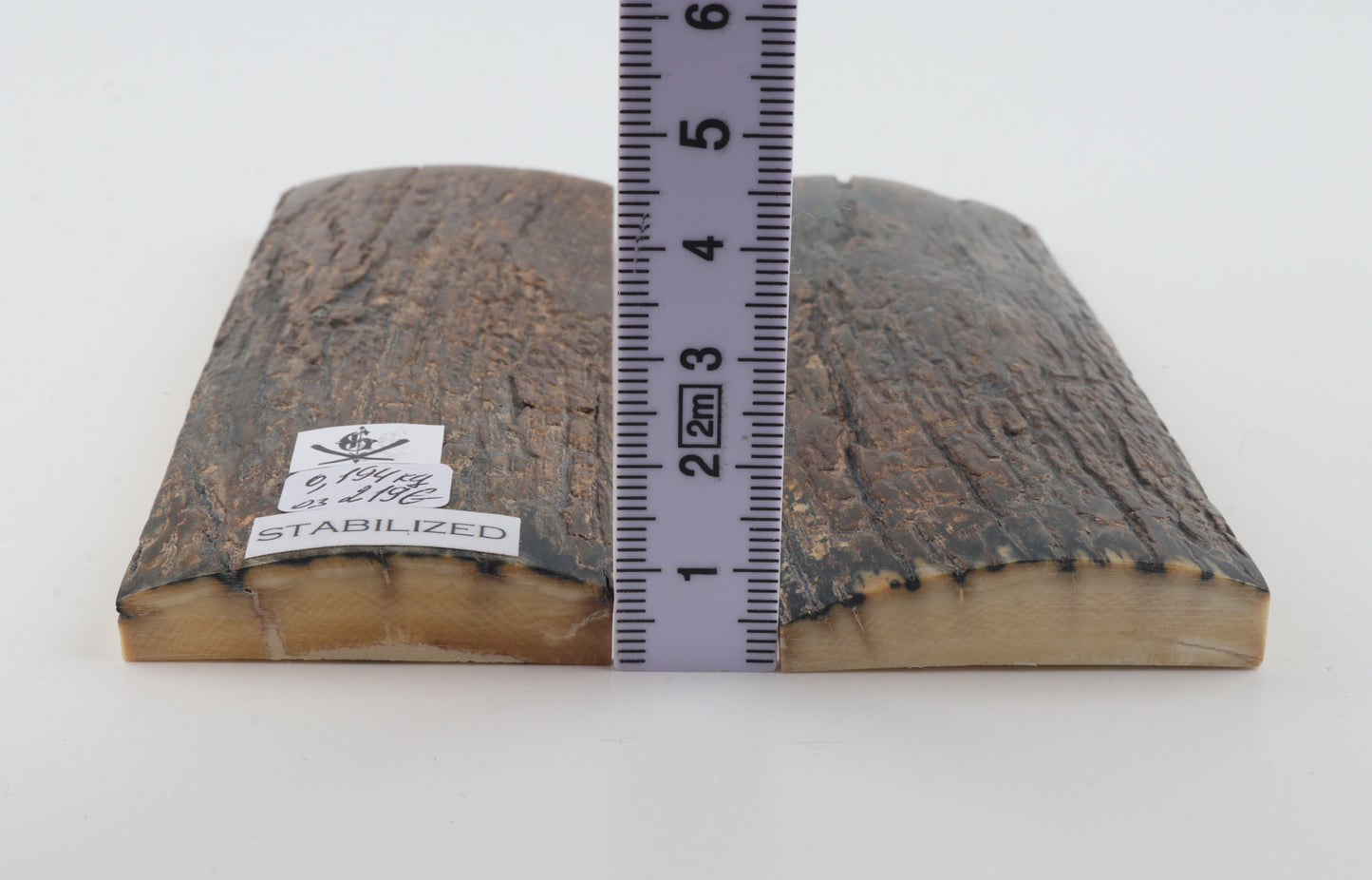 Stabilised mammoth bark scales