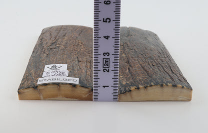 Stabilised mammoth bark scales