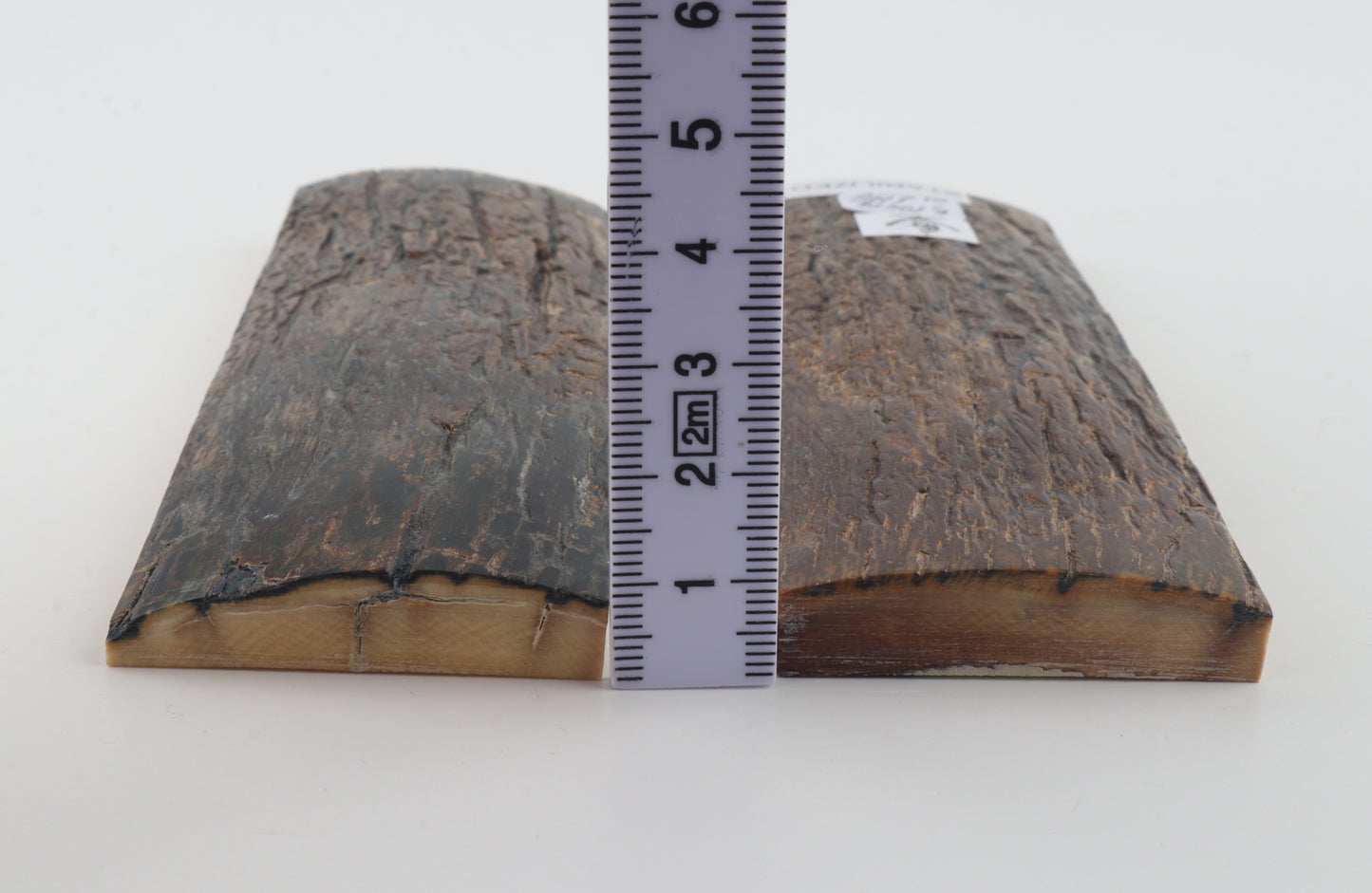 Stabilised mammoth bark scales