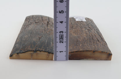 Stabilised mammoth bark scales