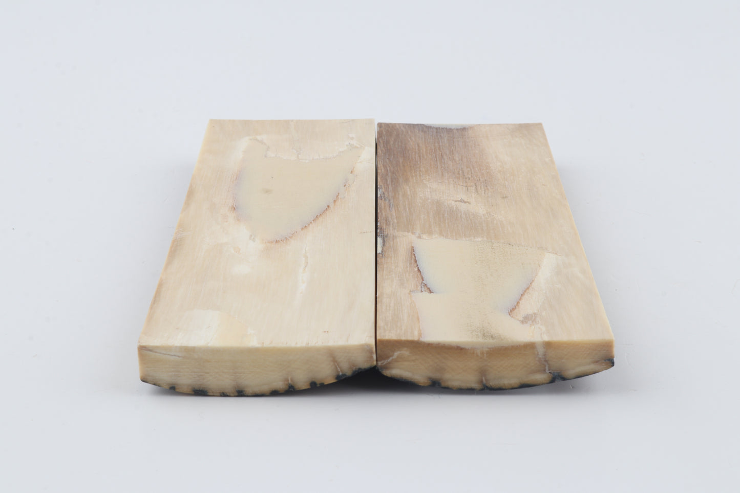 Stabilised mammoth bark scales