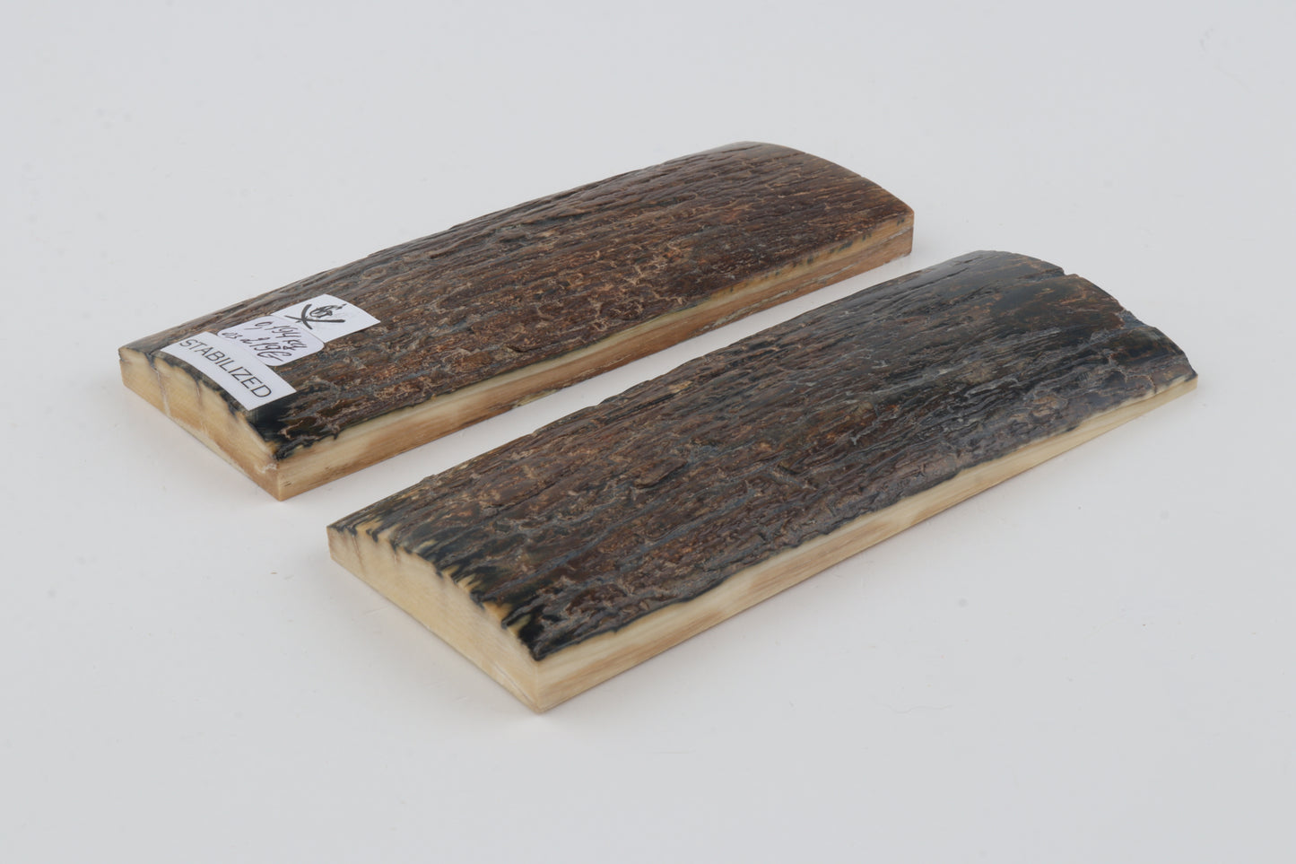 Stabilised mammoth bark scales