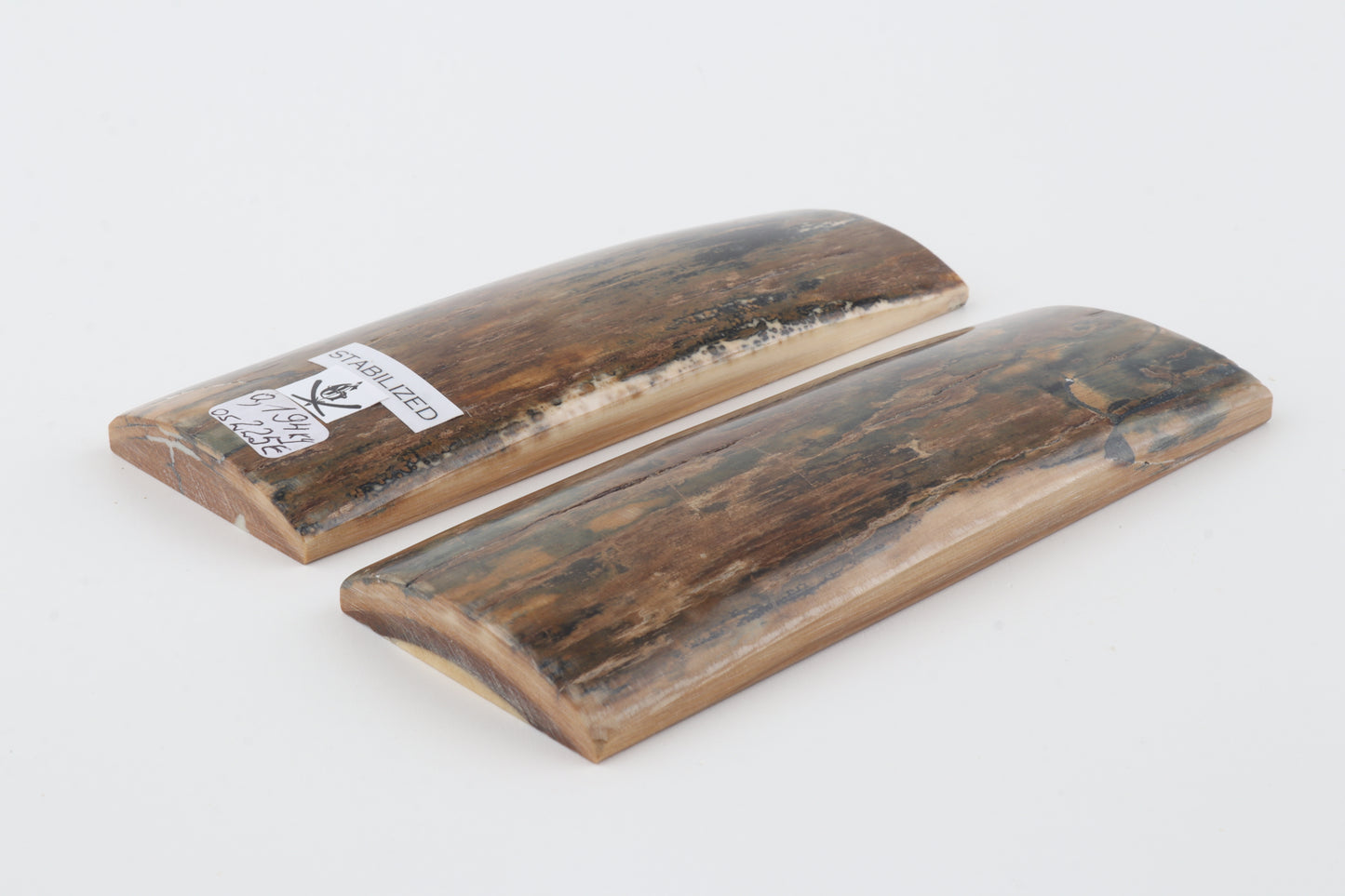 Stabilized mammoth bark scales