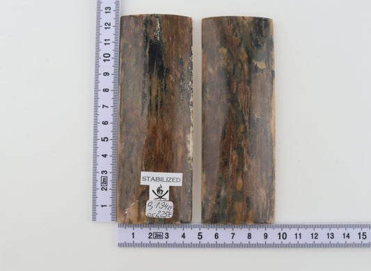 Stabilized mammoth bark scales