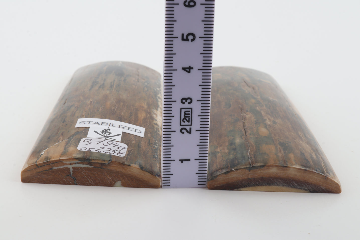 Stabilized mammoth bark scales