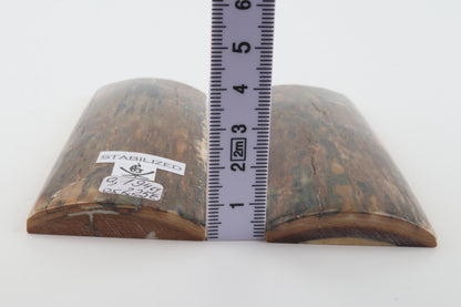 Stabilized mammoth bark scales