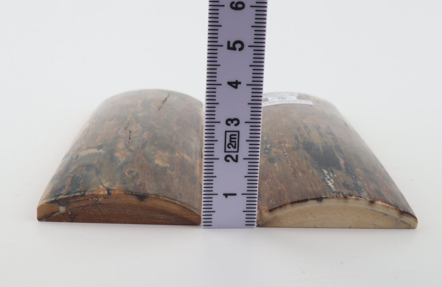 Stabilized mammoth bark scales