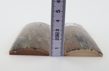 Stabilized mammoth bark scales