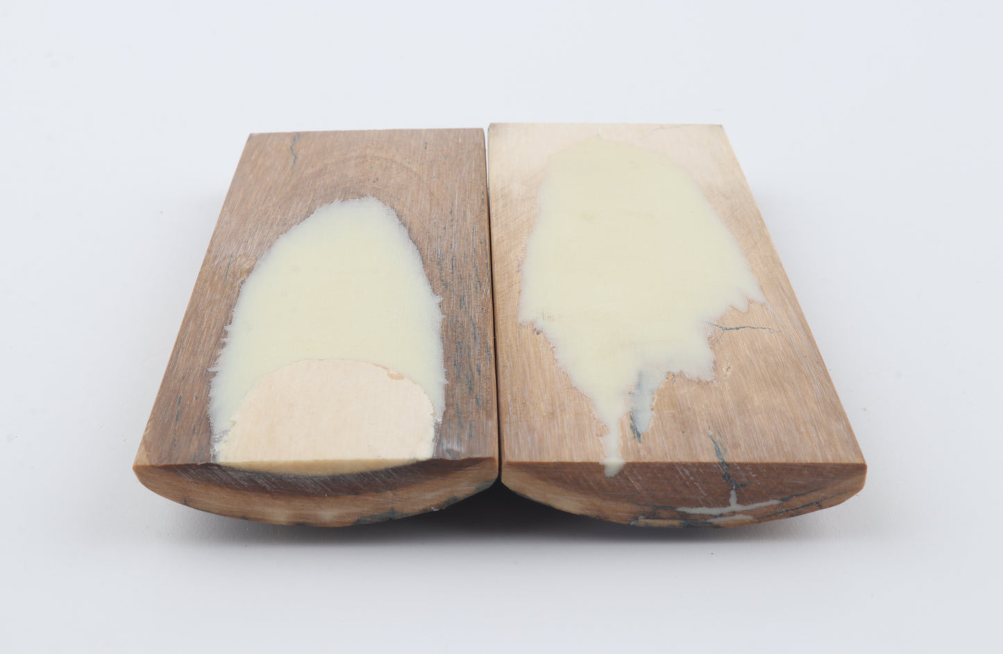 Stabilized mammoth bark scales