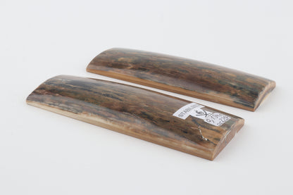 Stabilized mammoth bark scales