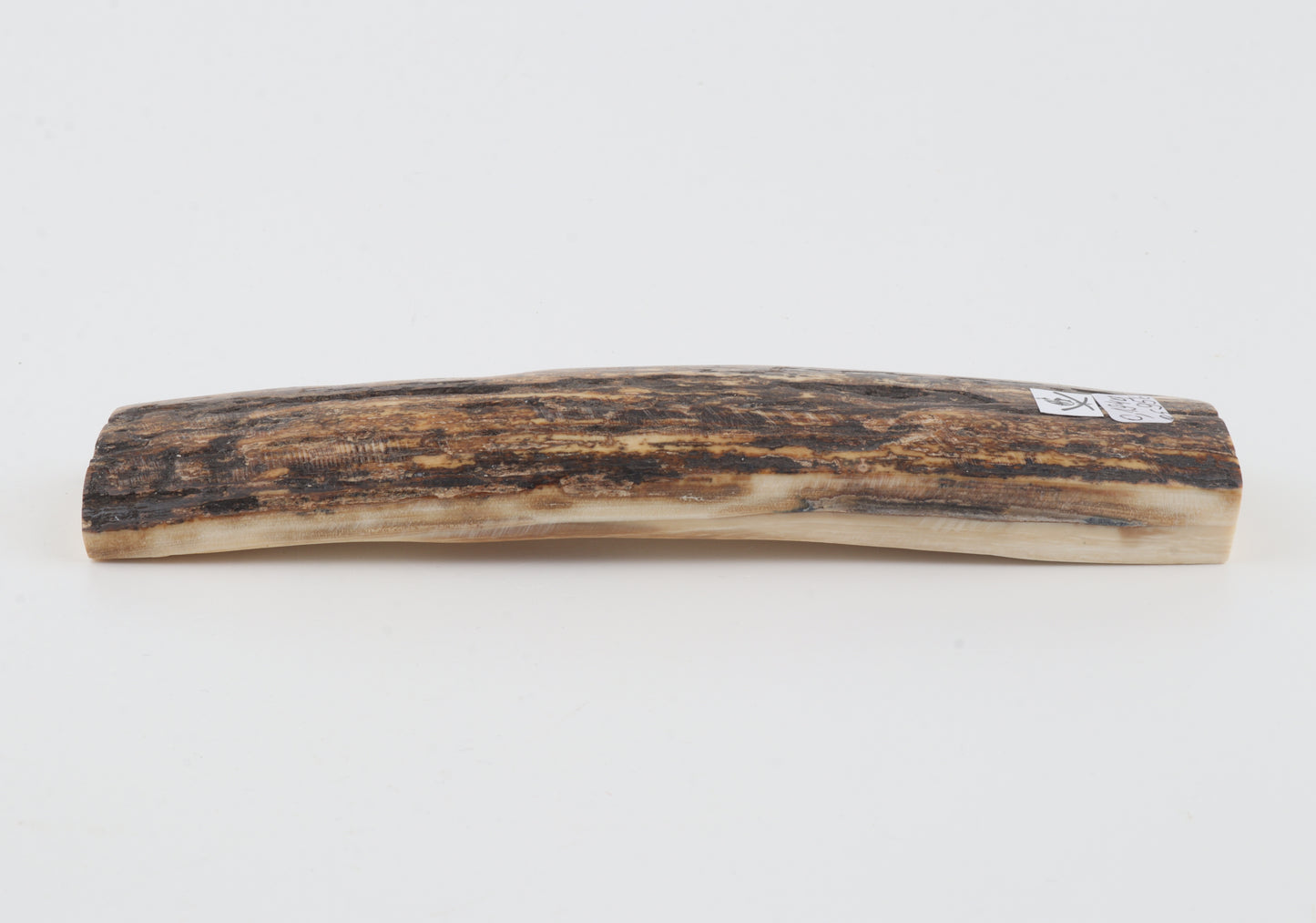 Brown mammoth bark