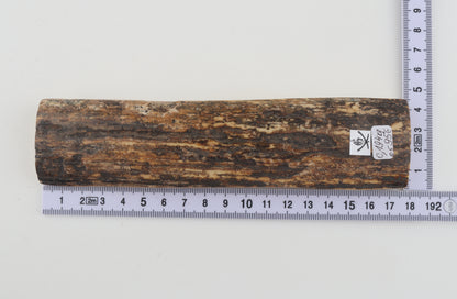 Brown mammoth bark
