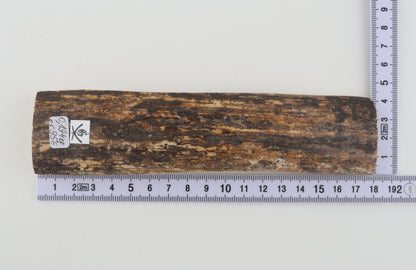 Brown mammoth bark