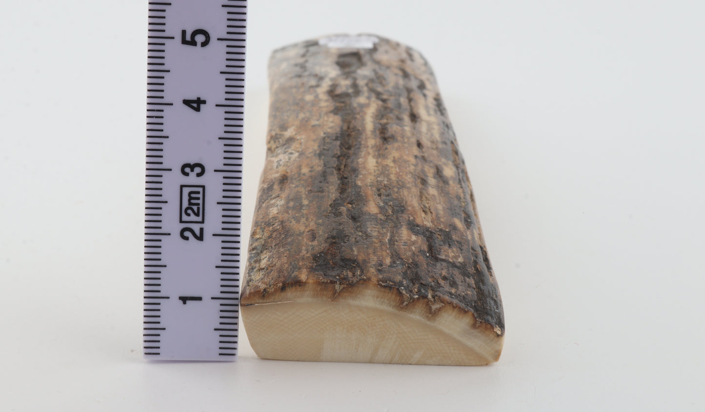 Brown mammoth bark