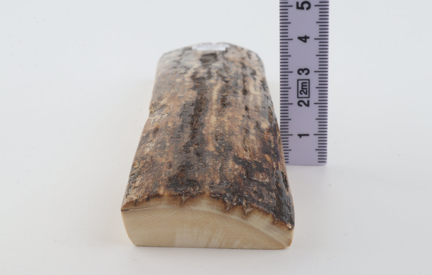 Brown mammoth bark