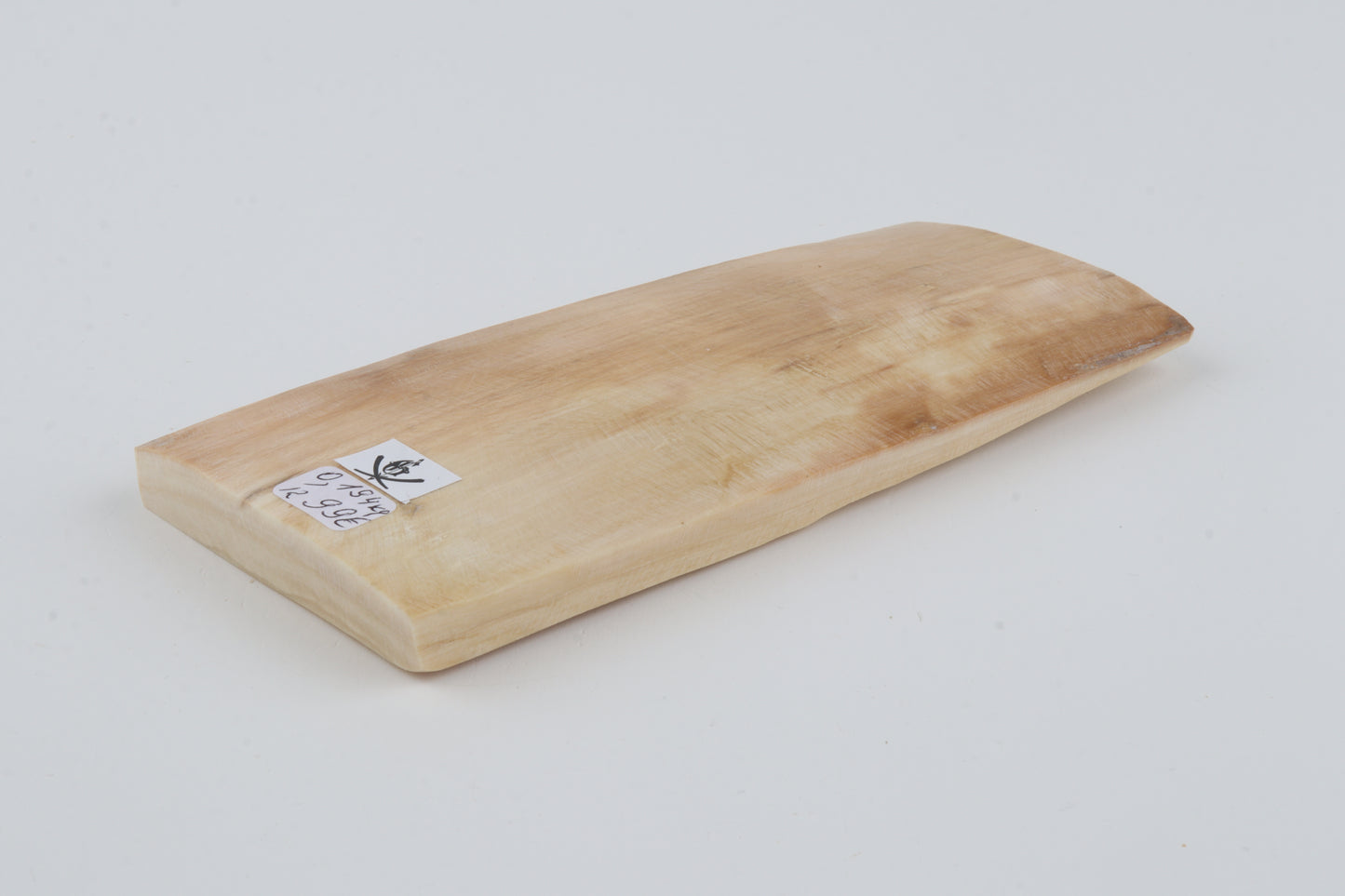 Natural woolly mammoth ivory piece