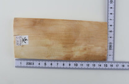 Natural woolly mammoth ivory piece