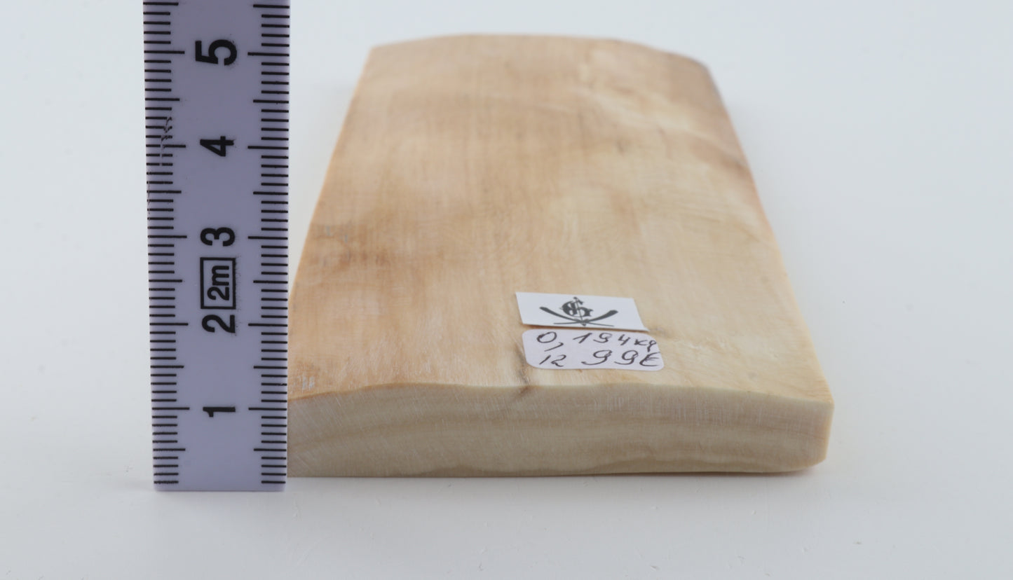 Natural woolly mammoth ivory piece