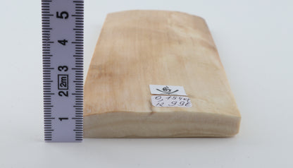 Natural woolly mammoth ivory piece