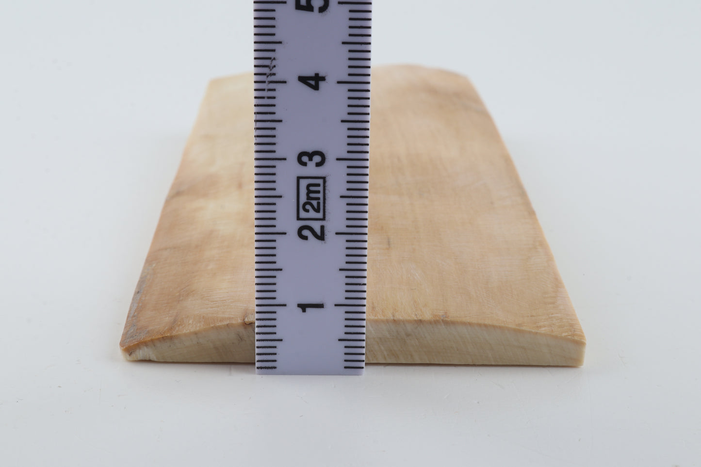 Natural woolly mammoth ivory piece