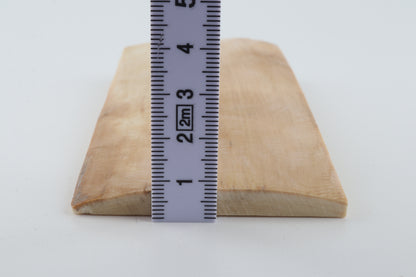 Natural woolly mammoth ivory piece