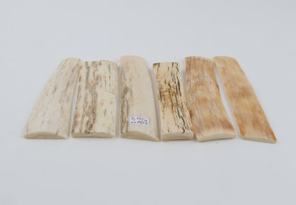 Natural mammoth bark pieces