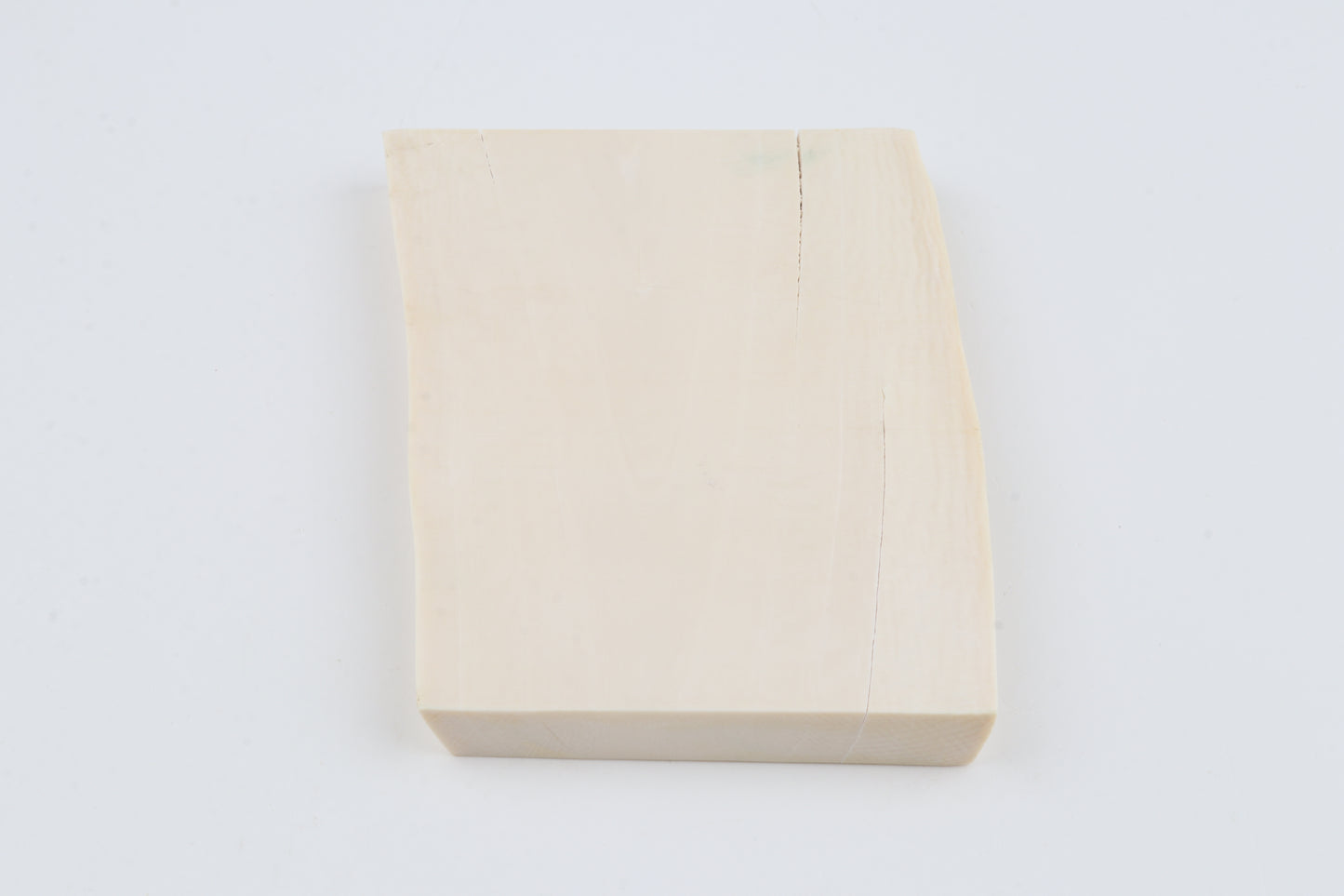 White mammoth ivory segment