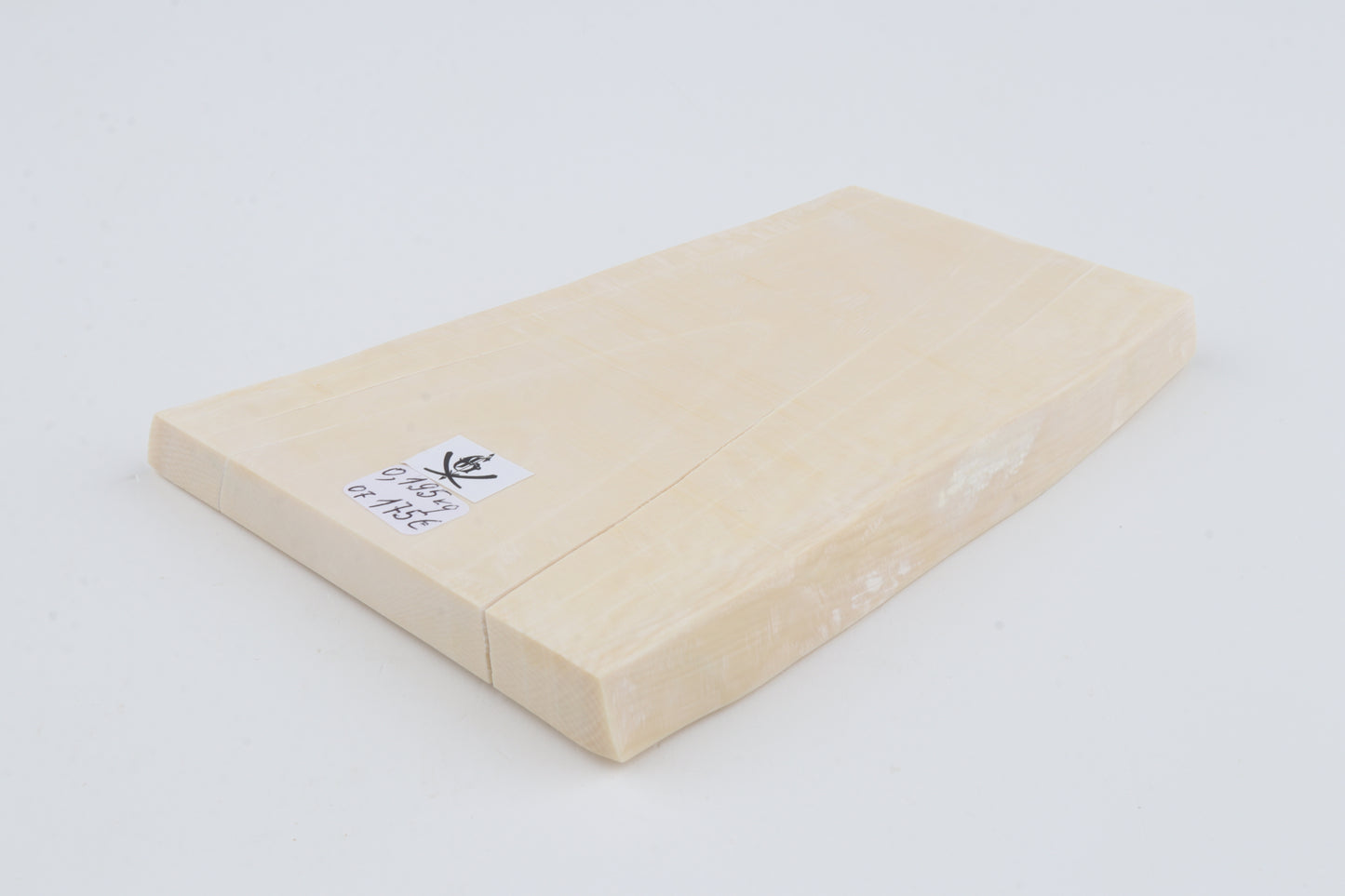 White mammoth ivory segment