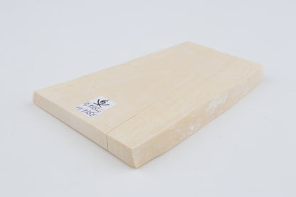White mammoth ivory segment
