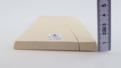 White mammoth ivory segment