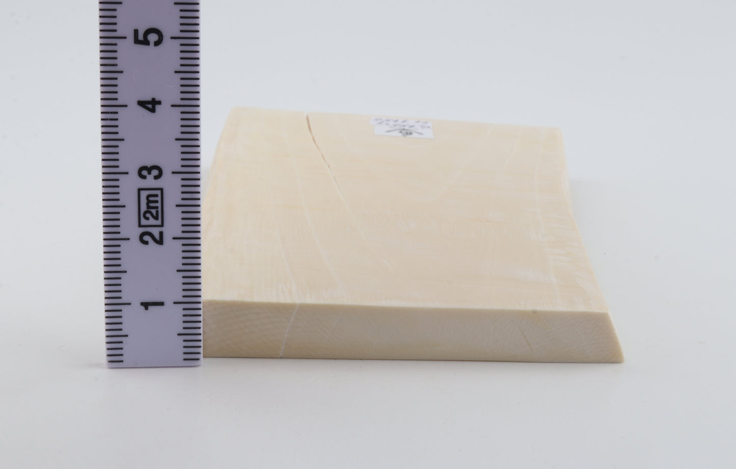 White mammoth ivory segment