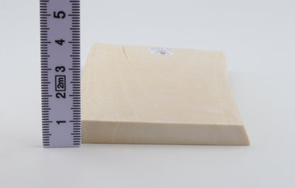 White mammoth ivory segment