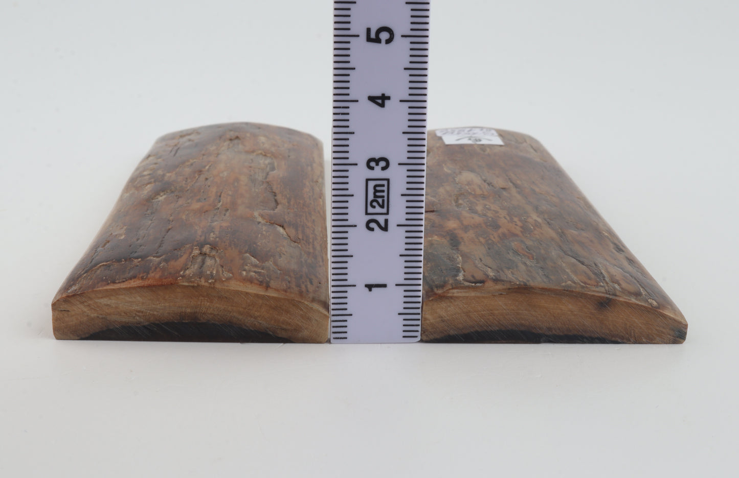 Natural mammoth bark scales
