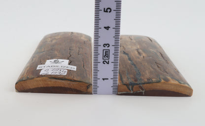 Stabilised mamoth bark scales