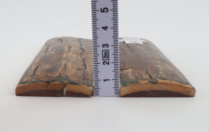 Stabilised mamoth bark scales