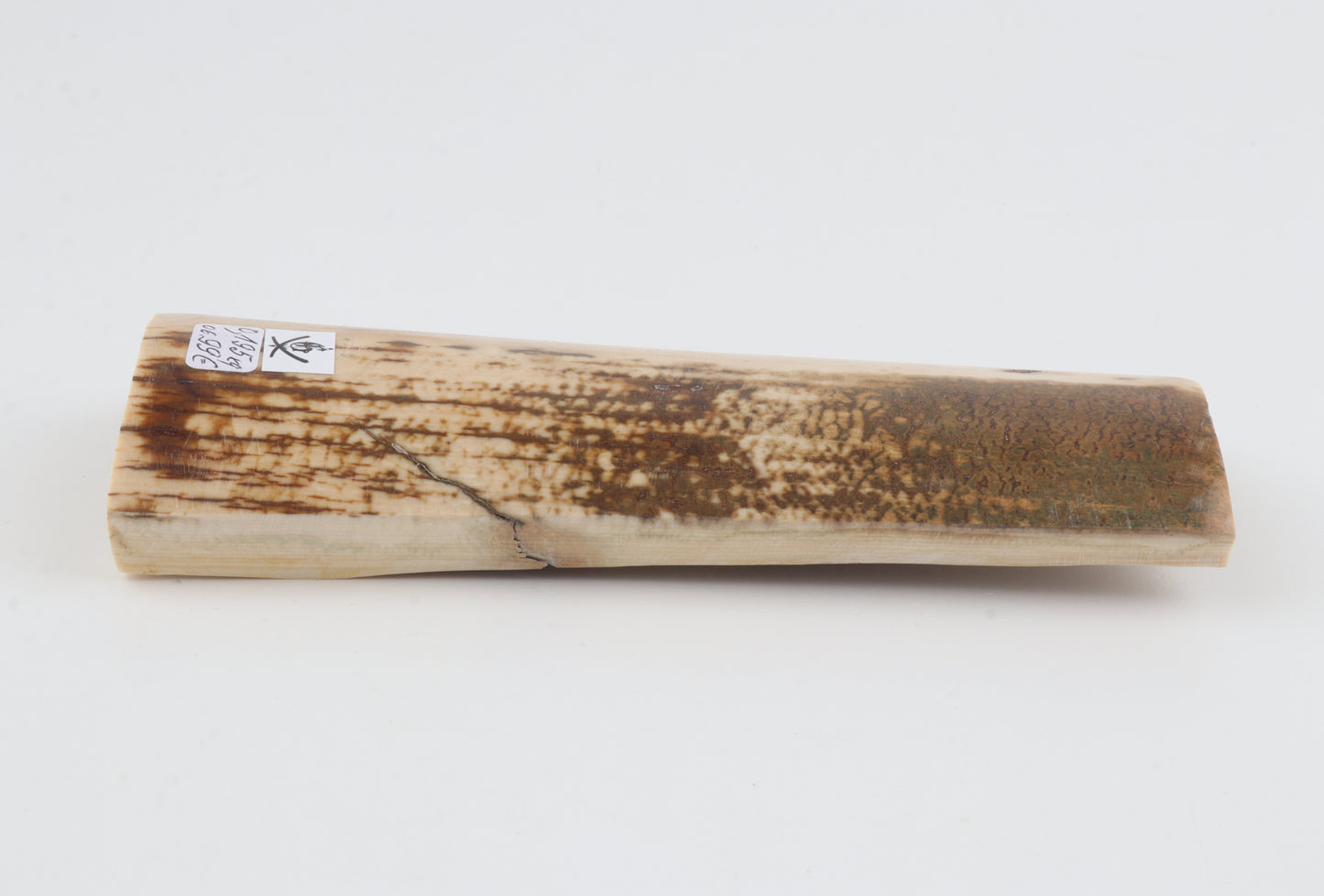 White-brown mammoth bark